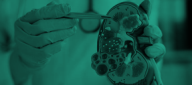 Procedure Image