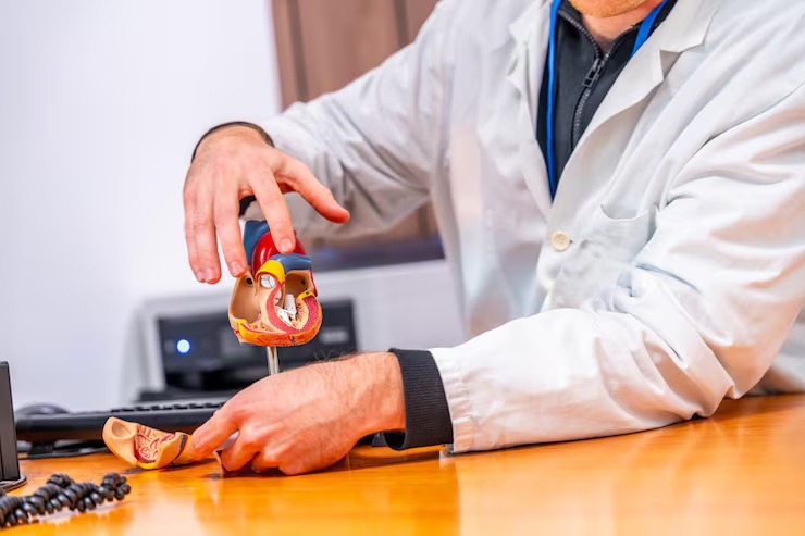 What Are the Benefits of TAVI? Understanding The Risks And Benefits of TAVI