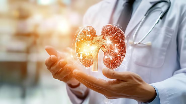 Why Donor Matching Is Crucial in Kidney Transplants